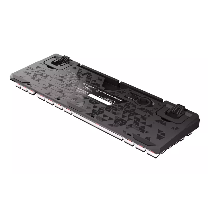 Gaming Tastatur ENDORFY TKL USB Mechanisch 87 Tasten RGB Schwarz