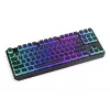 Gaming Tastatur ENDORFY TKL USB Mechanisch 87 Tasten RGB Schwarz