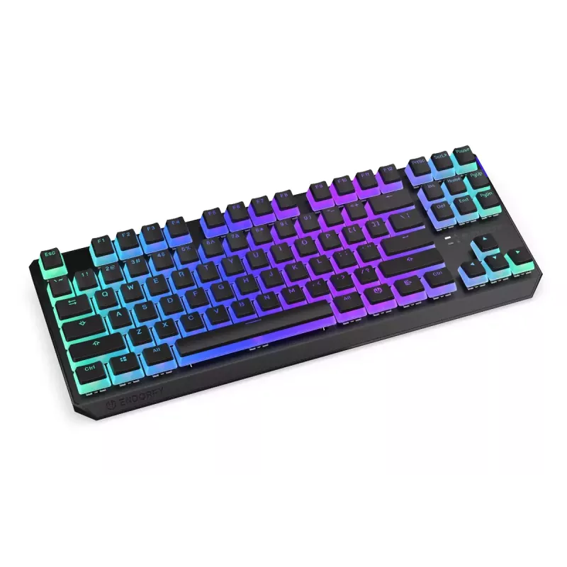 Gaming Tastatur ENDORFY TKL USB Mechanisch 87 Tasten RGB Schwarz
