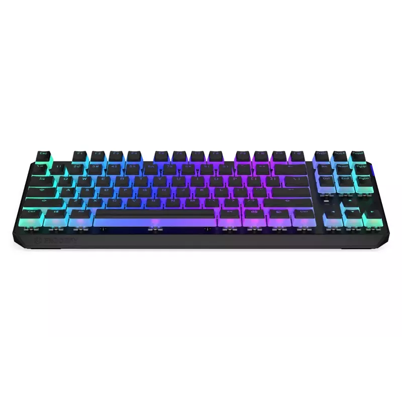 Gaming Tastatur ENDORFY TKL USB Mechanisch 87 Tasten RGB Schwarz