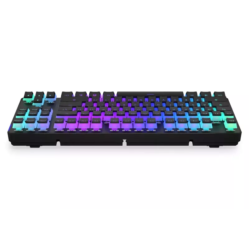 Gaming Tastatur ENDORFY TKL USB Mechanisch 87 Tasten RGB Schwarz