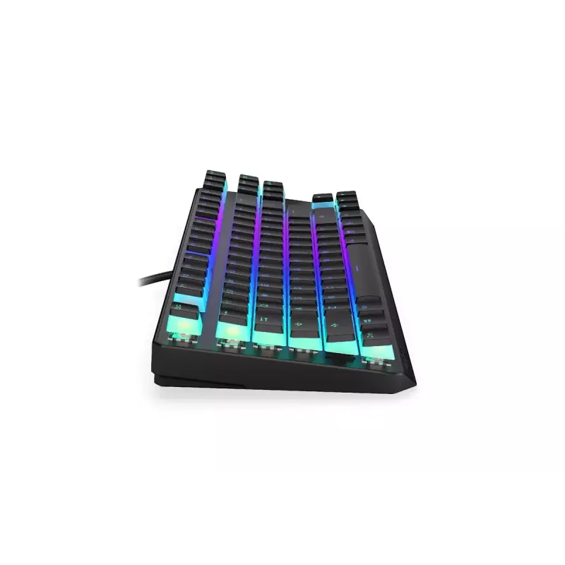 Gaming Tastatur ENDORFY TKL USB Mechanisch 87 Tasten RGB Schwarz