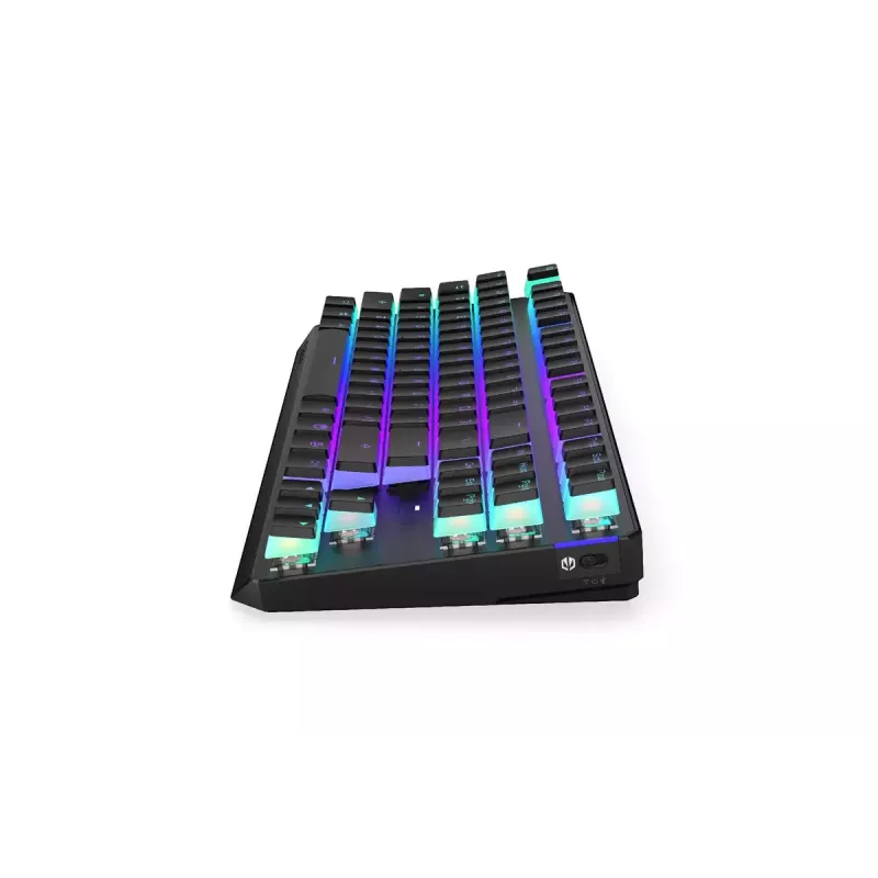 Gaming Tastatur ENDORFY TKL USB Mechanisch 87 Tasten RGB Schwarz