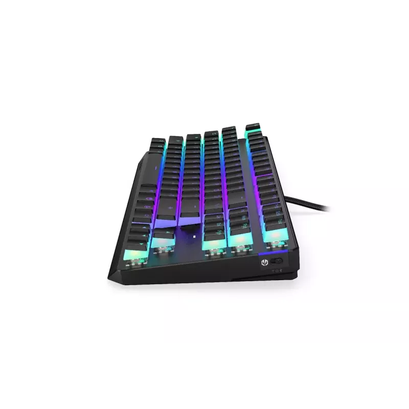 Gaming Tastatur ENDORFY TKL USB Mechanisch 87 Tasten RGB Schwarz