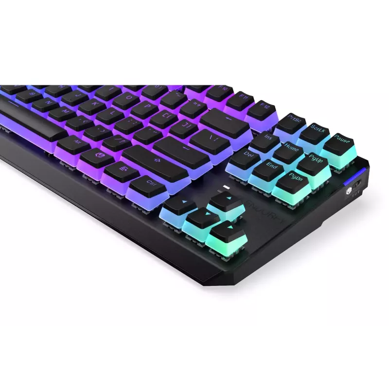 Gaming Tastatur ENDORFY TKL USB Mechanisch 87 Tasten RGB Schwarz