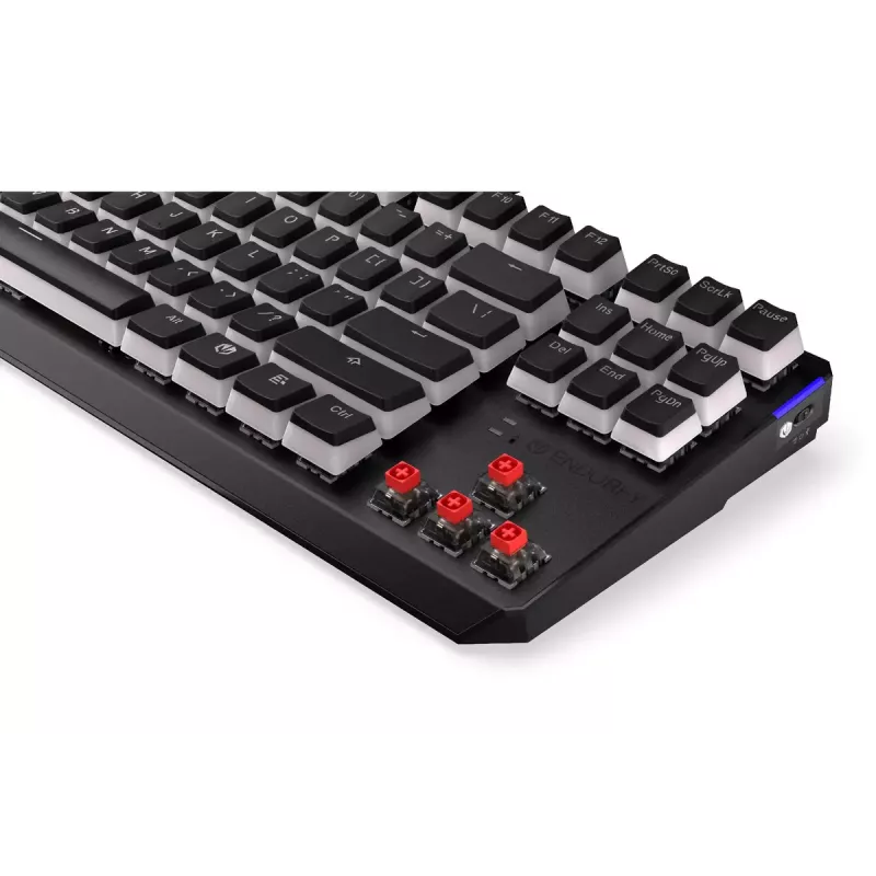Gaming Tastatur ENDORFY TKL USB Mechanisch 87 Tasten RGB Schwarz