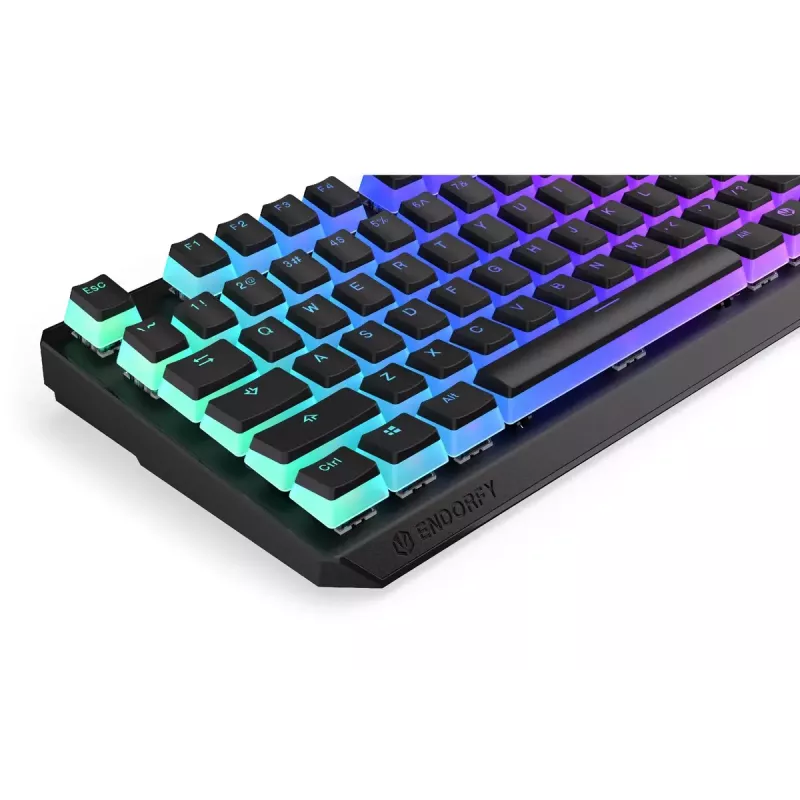 Gaming Tastatur ENDORFY TKL USB Mechanisch 87 Tasten RGB Schwarz