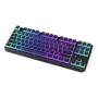 Gaming Tastatur ENDORFY TKL USB Mechanisch 87 Tasten RGB Schwarz