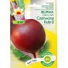 Rote Bete 'Czerwona Kula' (Beta vulgaris) Toraf-Samen — 6 Monate Haltbarkeit