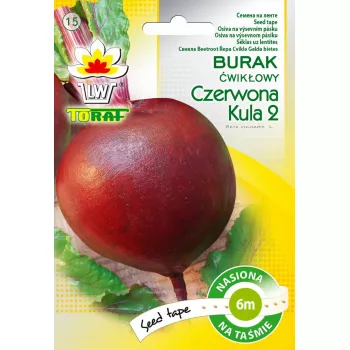 Rote Bete 'Czerwona Kula' (Beta vulgaris) Toraf-Samen — 6 Monate Haltbarkeit