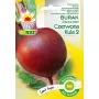 Rote Bete 'Czerwona Kula' (Beta vulgaris) Toraf-Samen — 6 Monate Haltbarkeit
