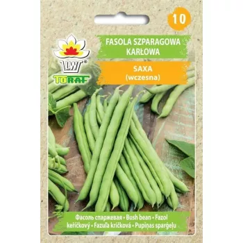 Toraf grüne Zwerg-Buschbohne 'Ferrari' (Phaseolus vulgaris) Samen, 30 g
