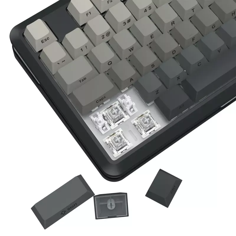 Tastatur REDRAGON K734SP-RGB-PRO Wireless USB Bluetooth Mechanisch