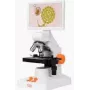 Digitalmikroskop MatataLab MatataStudio MT3-4 – Modell MT3-4 Digitalmikroskop