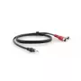 Audiokabel Kramer Electronics C-A35M/2RAM-10 3 m 3,5 mm 2xRCA Schwarz