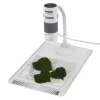 Digitales Mikroskop Carson EFLEX 300x, 75–300× Vergrößerung, 1600×1200 Kamera, grau/weiß