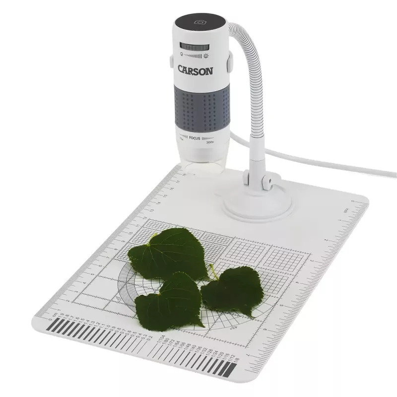 Digitales Mikroskop Carson EFLEX 300x, 75–300× Vergrößerung, 1600×1200 Kamera, grau/weiß