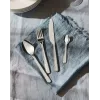 Küchen-Besteckset ALESSI BG02S24 — Tafelmesser- und -gabelset, Edelstahl