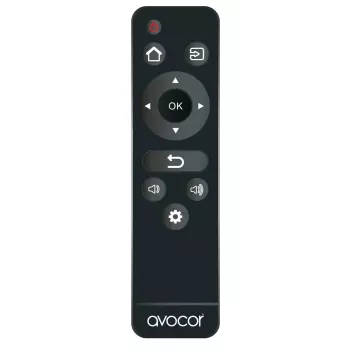 Fernbedienung Avocor AVC-REM300 für AVF AVG AVW Serien Displays