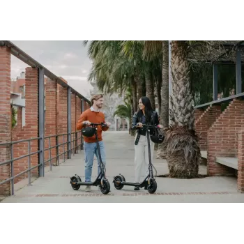 Klassischer Roller Ninebot by Segway KickScooter F2 Plus D Schwarz 20 km/h 400 W