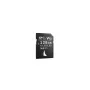Speicherkarte Angelbird 128 GB SDXC UHS-II Modell 17105011128