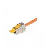 Wirewin WKS JACK KAT6A STP EA 48 Drahtverbinder