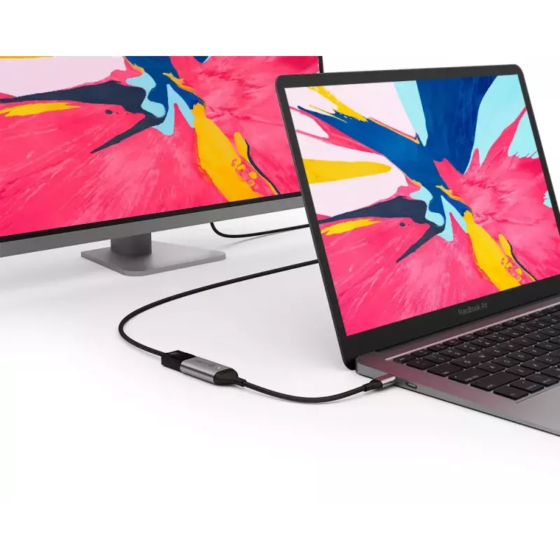 ALOGIC 15cm Ultra USB-C Stecker auf DP Buchse Adapter 4K 60Hz