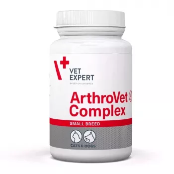 VETEXPERT ArthroVet Collagen Small breed - Nahrungsergänzungsmittel für Hunde und Katzen - 60 Tabletten
