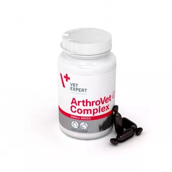 VETEXPERT ArthroVet Collagen Small breed - Nahrungsergänzungsmittel für Hunde und Katzen - 60 Tabletten