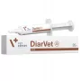 VetExpert Diarvet Paste 20g