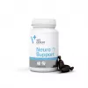 VetExpert NeuroSupport 45 Kapseln.