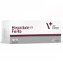 VetExpert Hepatiale Forte 40 Tabletten.