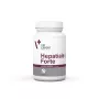 VetExpert Hepatiale Forte Large Breed 40 Tabletten.