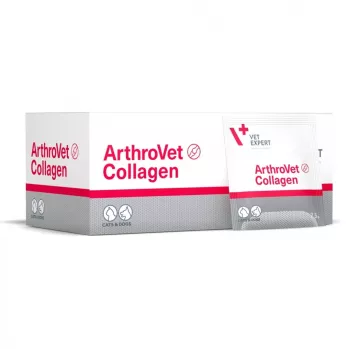 VETEXPERT ArthroVet Collagen - Nahrungsergänzungsmittel für Hunde und Katzen - 60 Beutel