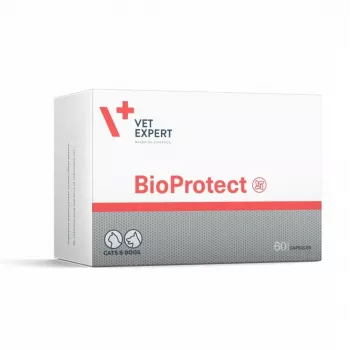 VETEXPERT Bioprotect - Nahrungsergänzungsmittel für Hunde und Katzen - 60 Tabletten