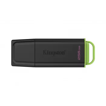 Kingston Technology DataTraveler 256GB Tragbarer USB 3.2 Gen 1 Exodia Schwarz/Grün