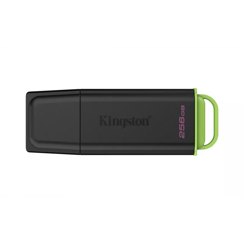 Kingston Technology DataTraveler 256GB Tragbarer USB 3.2 Gen 1 Exodia Schwarz/Grün