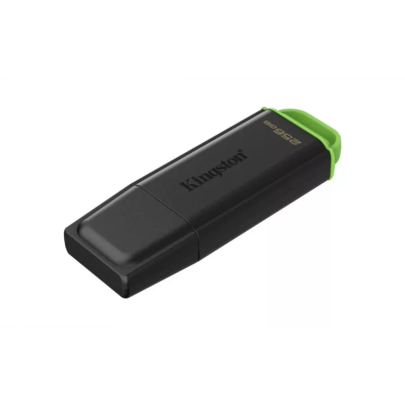 Kingston Technology DataTraveler 256GB Tragbarer USB 3.2 Gen 1 Exodia Schwarz/Grün