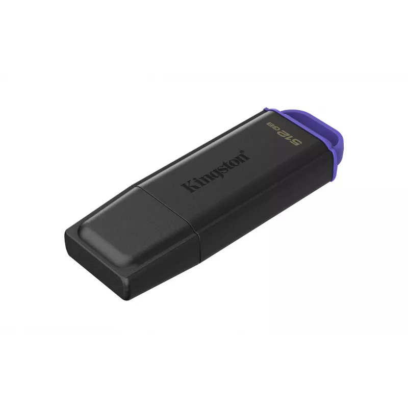 Kingston Technology DataTraveler 512GB Tragbarer USB 3.2 Gen 1 Exodia Schwarz/Lila