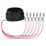 EFB Trunk Kabel U-DQ(ZN)BH OM4 12G (1x12) SC-SC 20m Dca LSZH