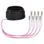 EFB Trunk Kabel U-DQ(ZN)BH OM4 8G (1x8) SC-SC 10m Dca LSZH