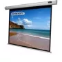 Celexon Economy elektrische Leinwand - Leinwand - Deckenmontage möglich, geeignet für Wandmontage - motorisiert - 250 cm (98) - 4:3 (1090073)