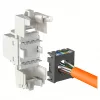 Modulares RJ-45 Eingangsmodul EFB Elektronik ECOLAN E-20080, weiß