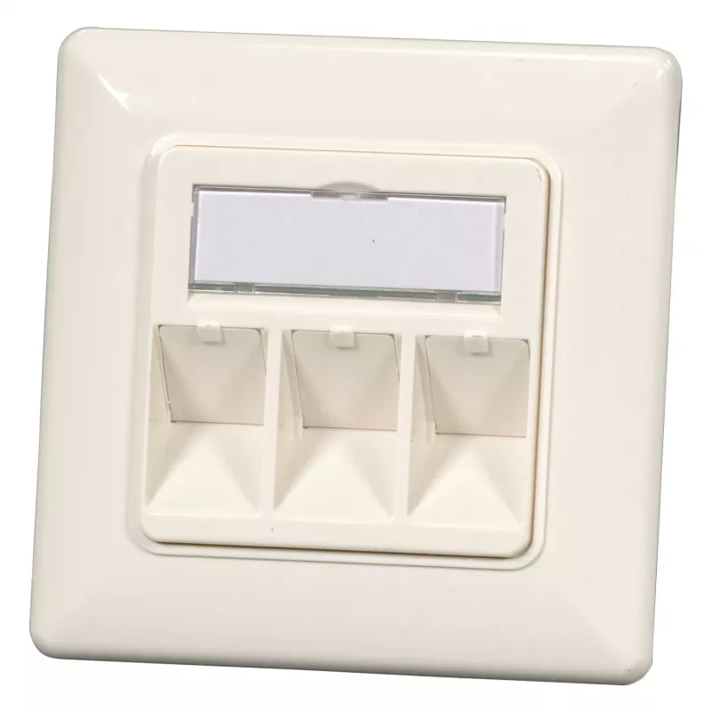 EFB Elektronik 2‑Port Keystone Rahmen-Set ET-25091 — gerader DIN49075 Auslass, RAL9003 weiß, 80×80 mm Rahmen mit 50×50 mm Zentralplatte