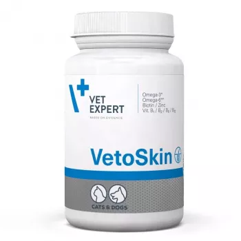VetExpert VetoSkin 90 Kapseln