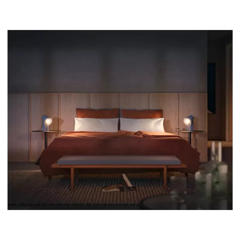 Philips Hue White ambience A60 – E27 smart bulb – 1100 (2er-Pack)