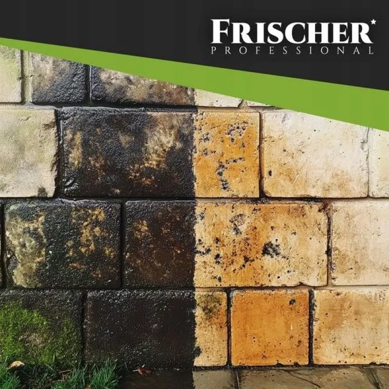 Frischer Fassadenreiniger 1 l