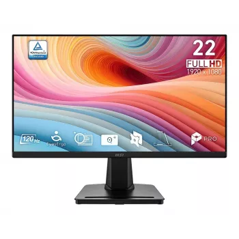 Monitor PRO MP225 E12VL 21,45 Zoll / FHD / FLAT / 120Hz / Schwarz