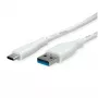ROTRONIC-SECOMP VALUE - USB-Kabel - USB Typ A (M) zu USB-C (M)