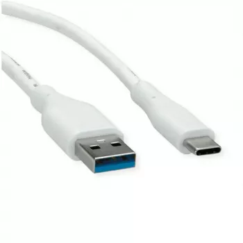 ROTRONIC-SECOMP VALUE - USB-Kabel - USB Typ A (M) zu USB-C (M)